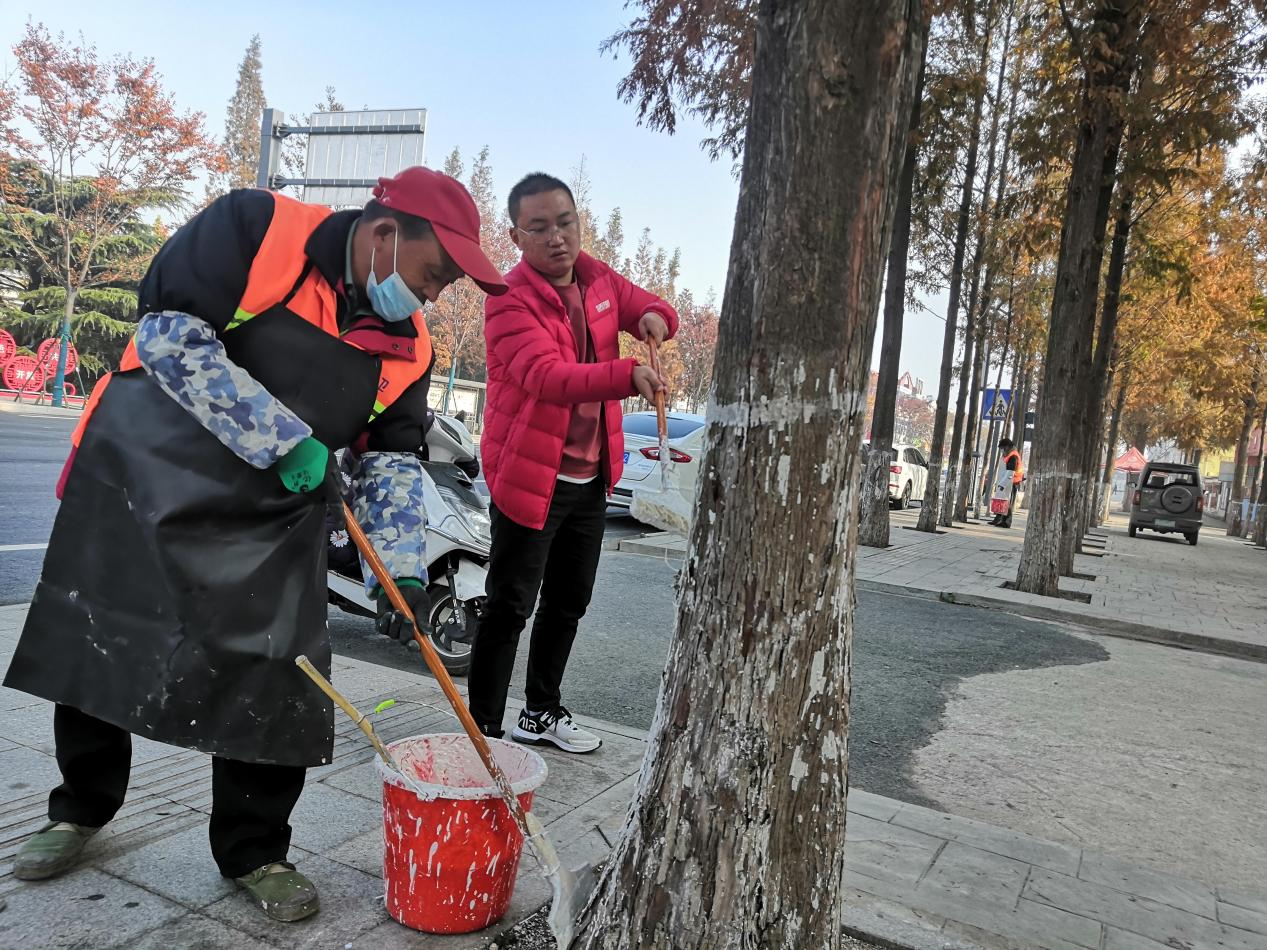 華泰物業：黨員先鋒樹模范  樹木越冬養護忙.png