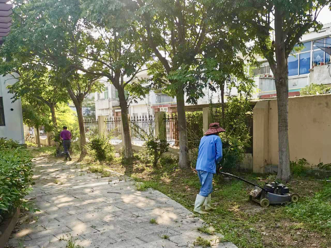 20220813 云臺華泰物業：做好夏季綠化養護管理工作.jpg