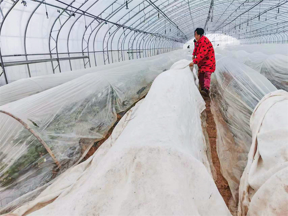20230114 華緣旅游：多措施積極應對低溫雨雪天氣 (4).jpg