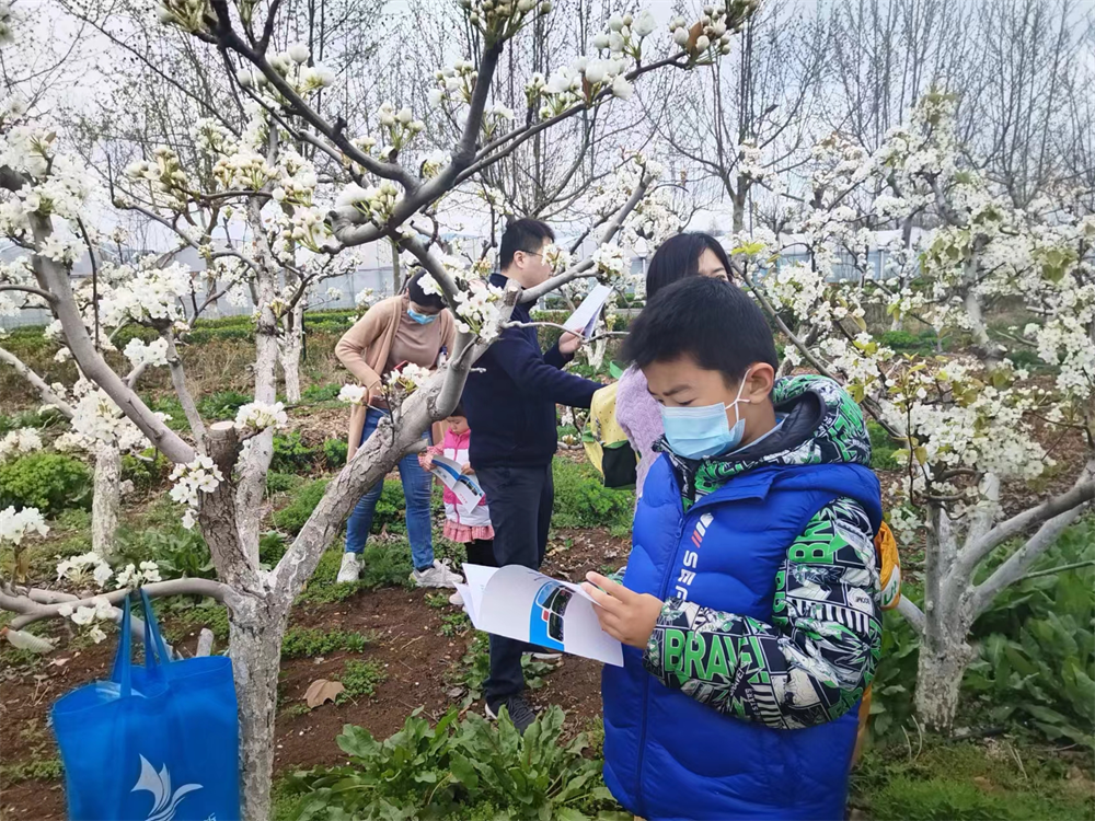 20230405 醉美人間四月天 春日研學正當時.png
