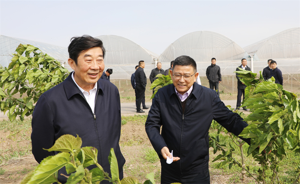 20230421 胡兆輝到云臺考察調研.jpg