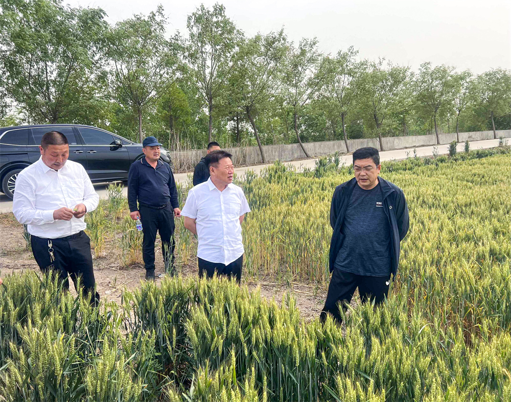 20230521 黃海農場公司黨委書記、黃海分公司總經理陳守軍到云臺交流調研.jpg