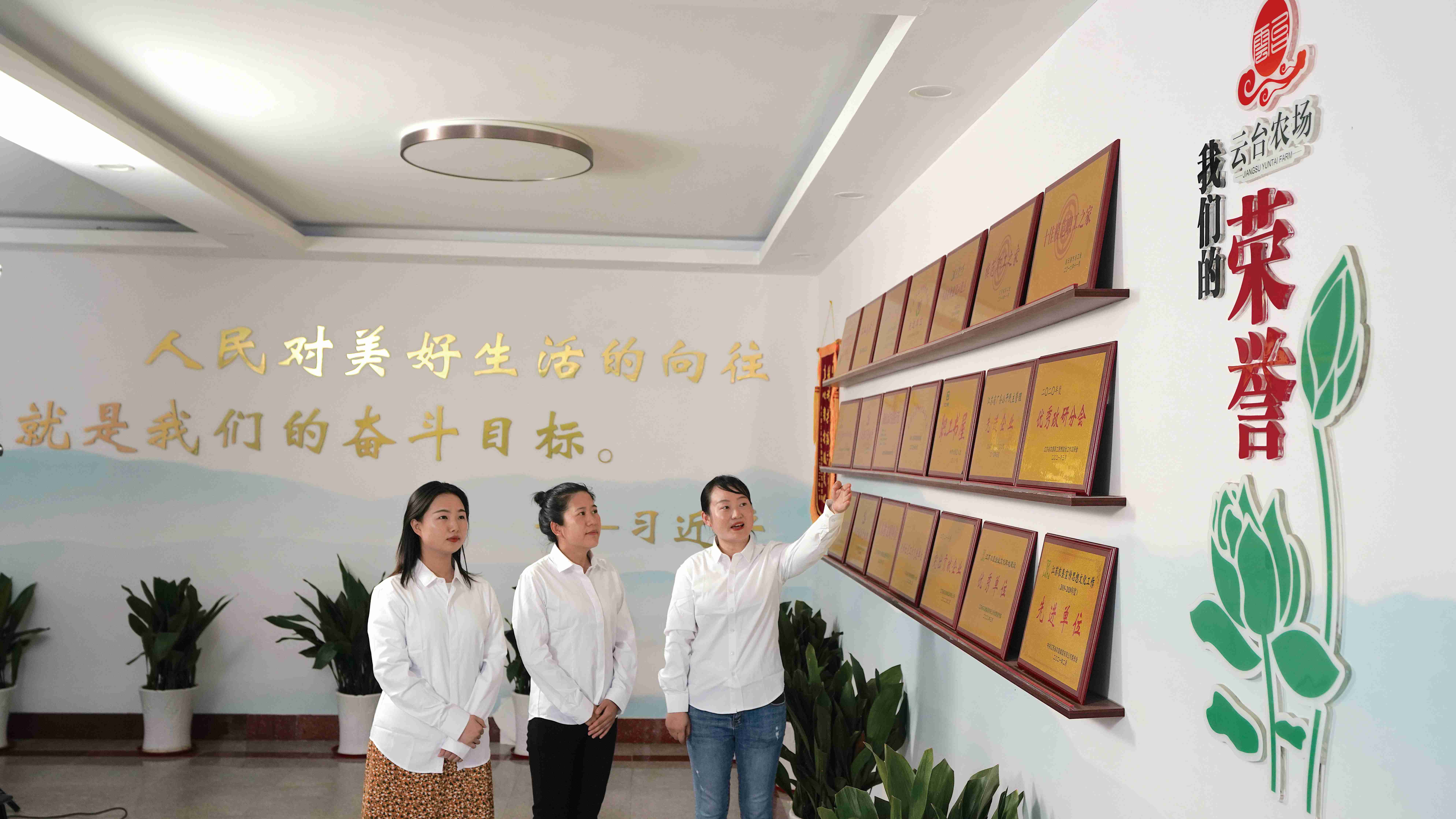 20230707 云臺上半年成績單“熱力”十足 (01)(1).jpg