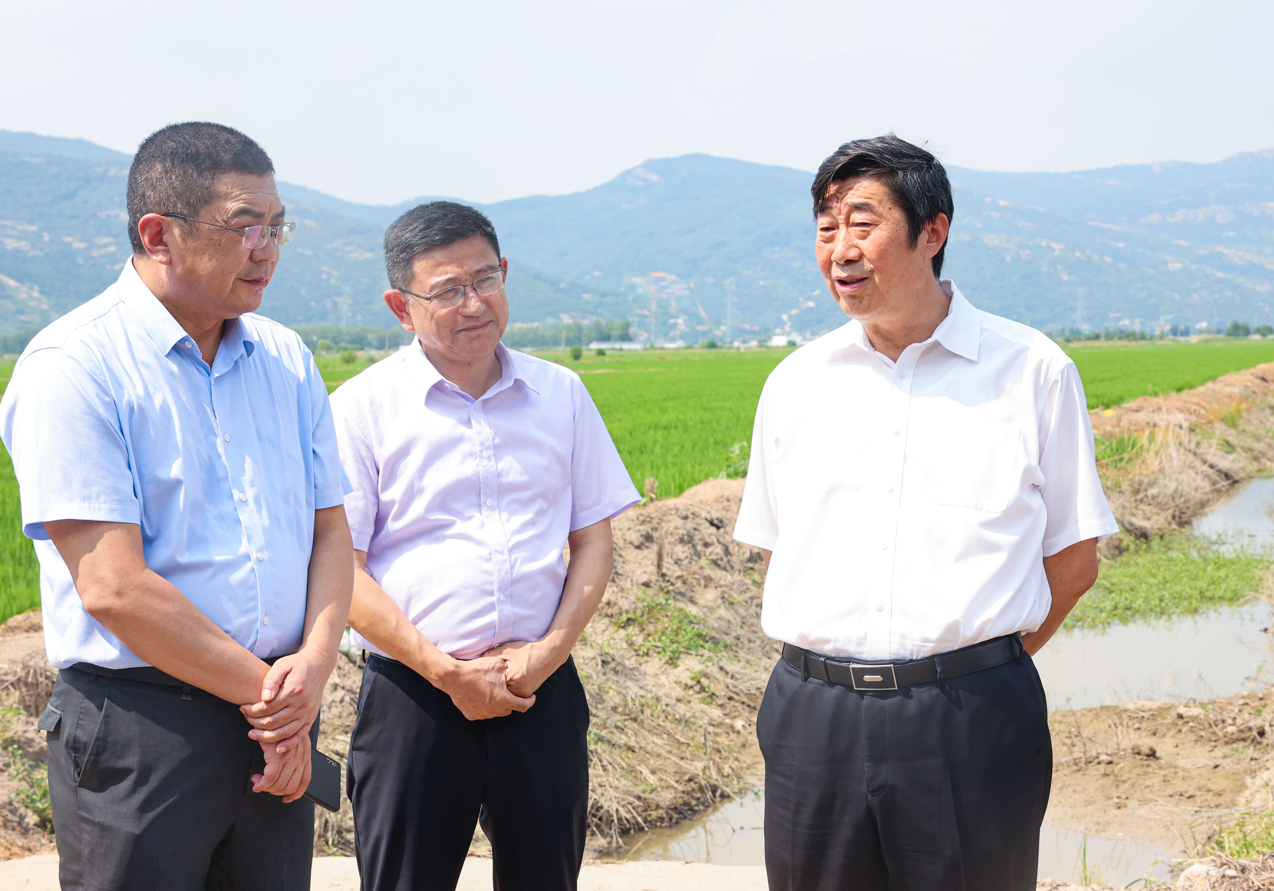 20230817 胡兆輝到云臺調研指導(1).jpg