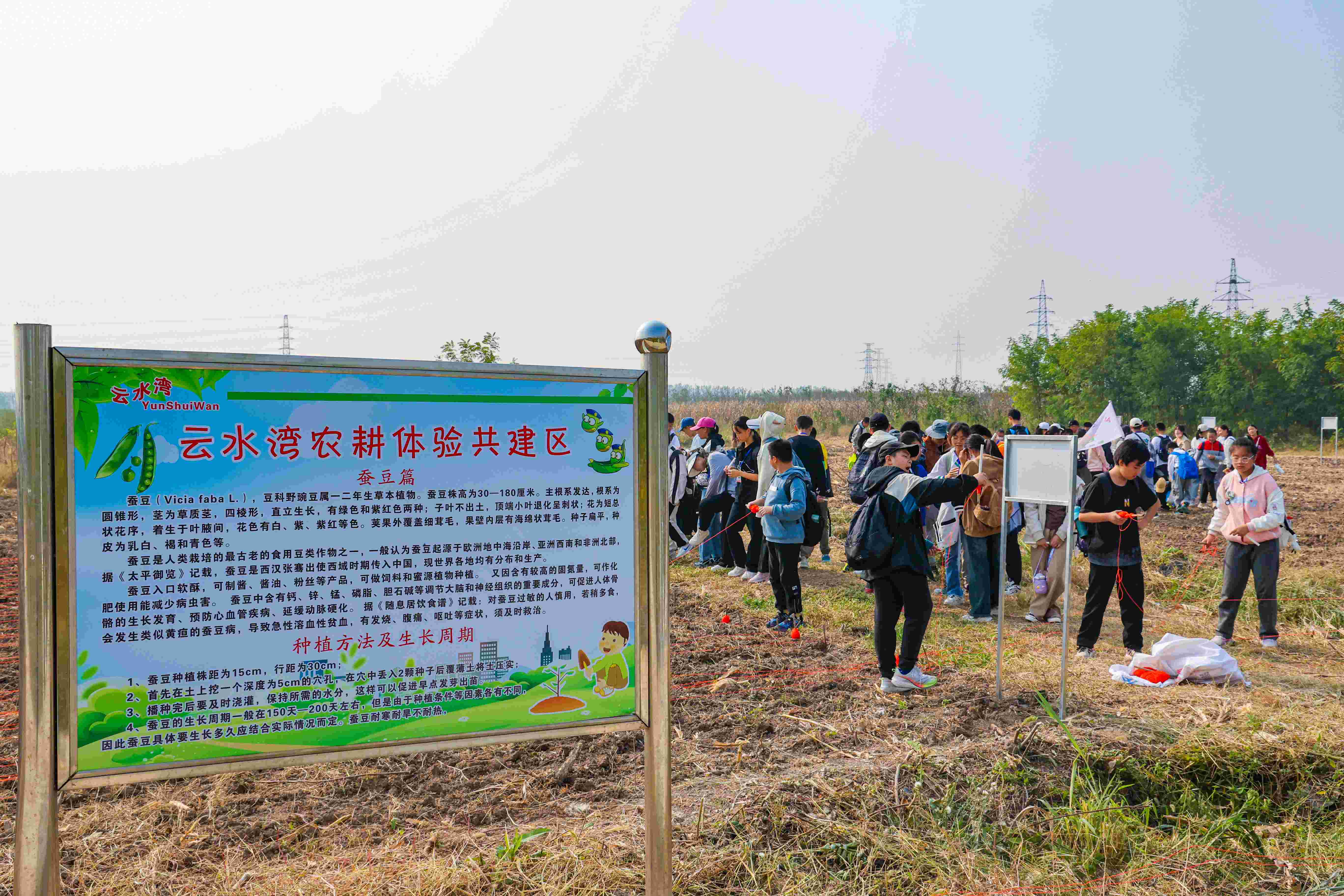 20231014 云臺農場：把勞動教育實踐課開在“田間地頭”(1).jpg