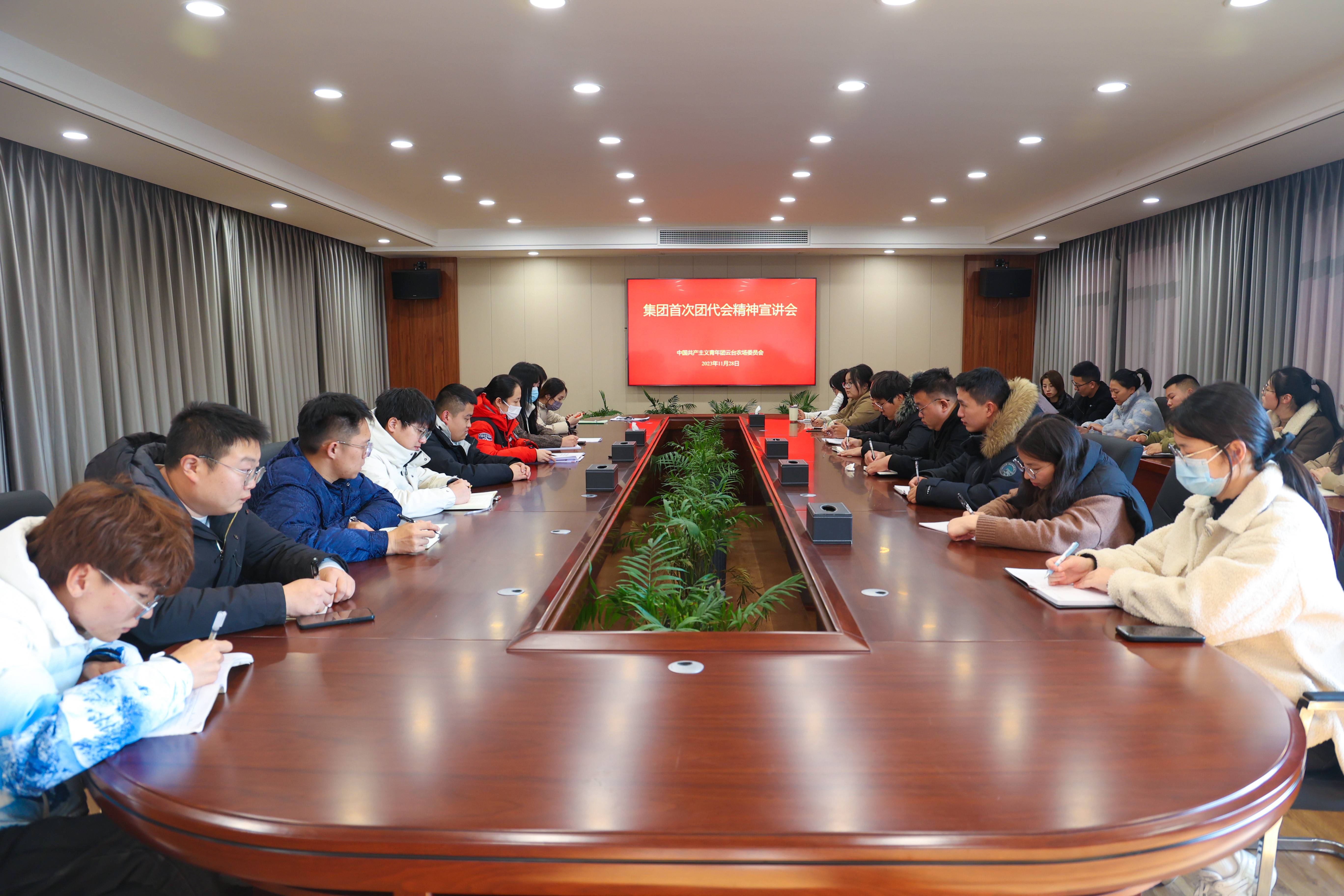云臺團委召開集團首次團代會精神宣講會 (3)(1).jpg