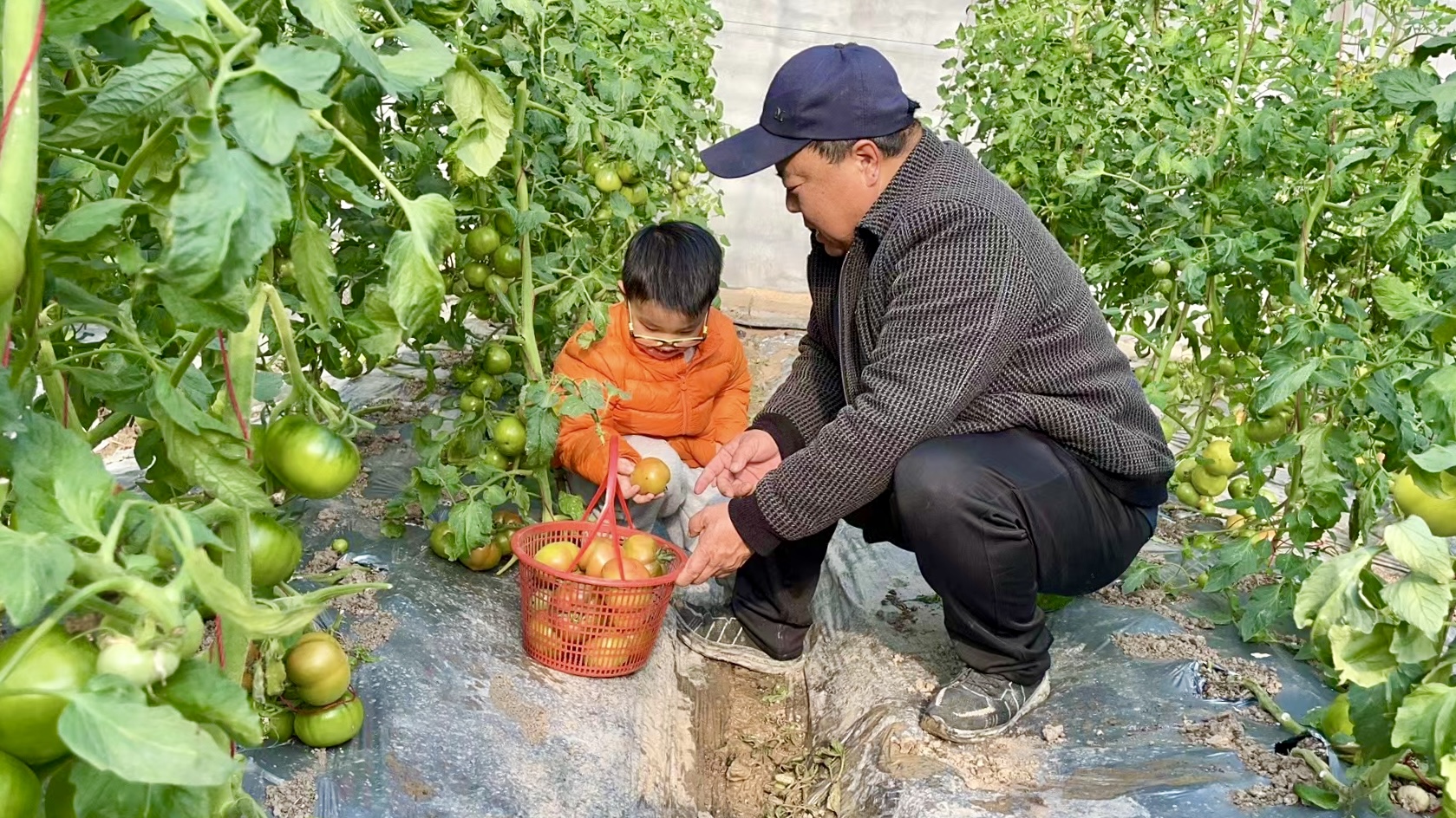 20231231元旦佳節不打烊 堅守崗位促生產.jpg
