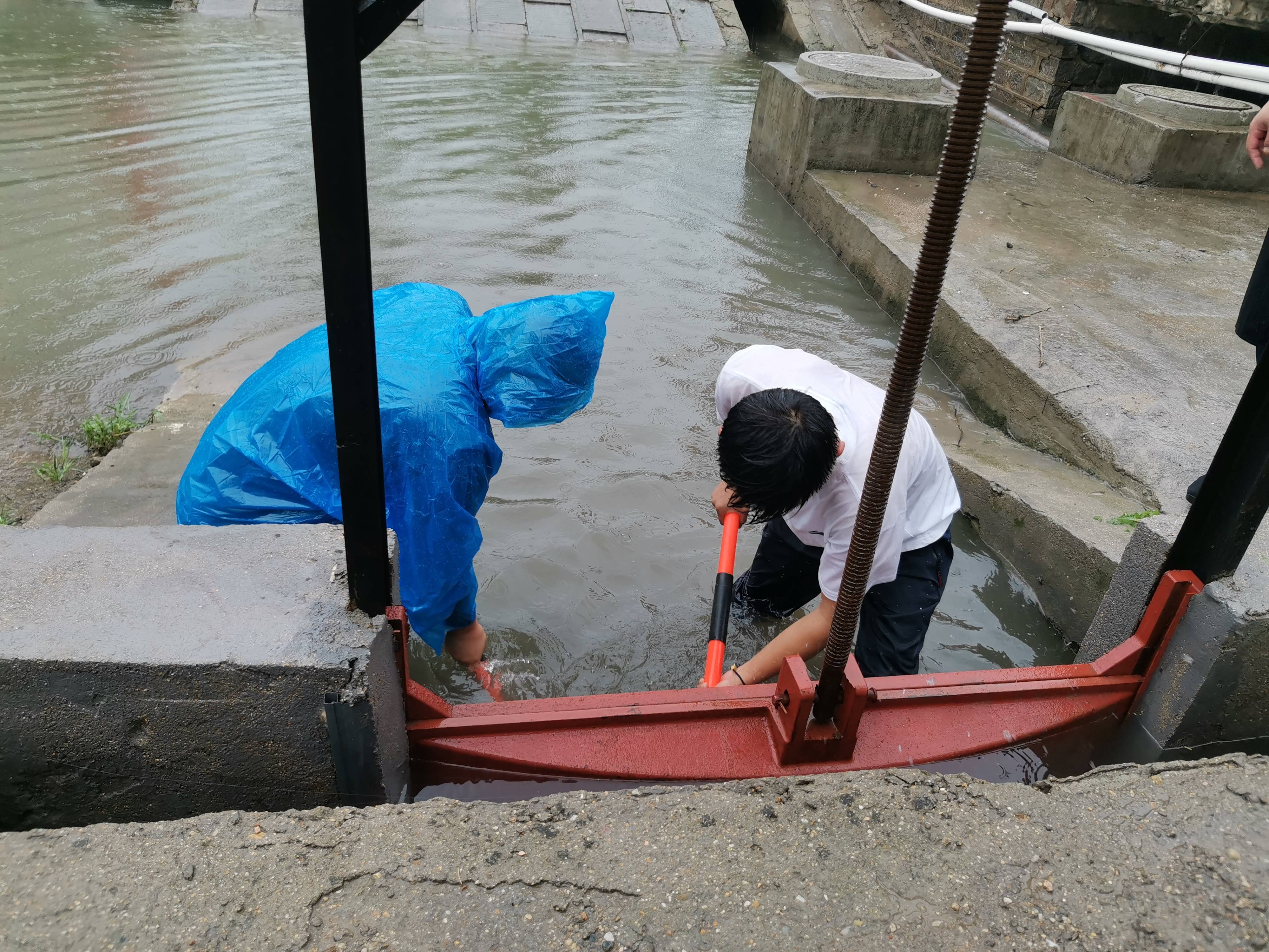 20240820 云臺農場社區：常態化防汛保民生(1).jpg
