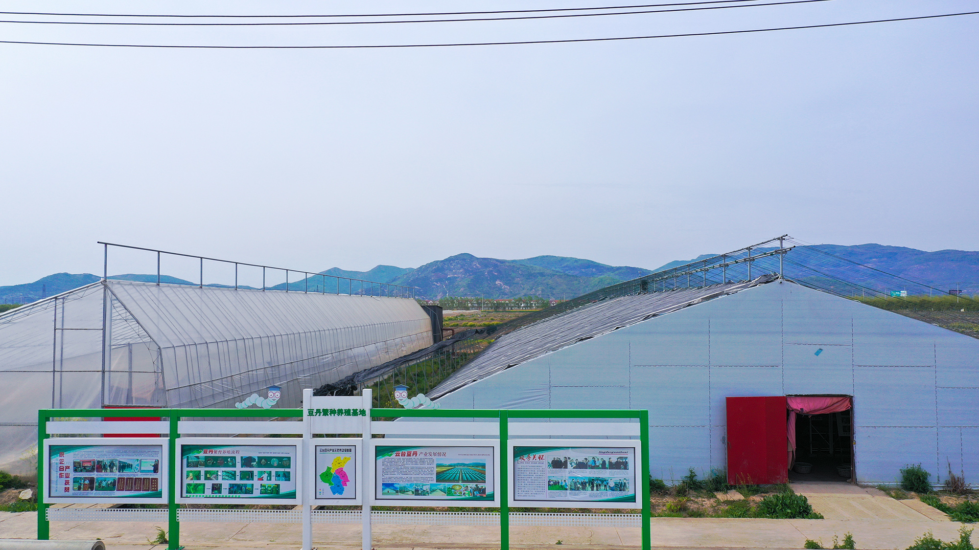 高效農業-豆丹繁育基地.JPG