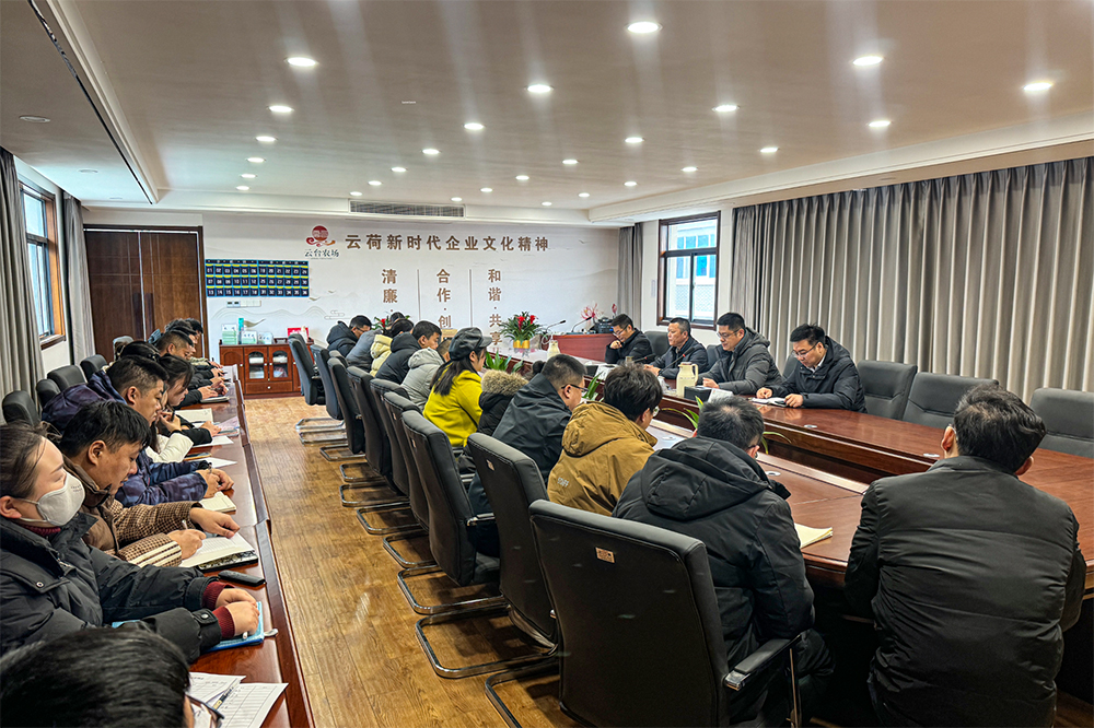 20250124 云臺農場公司開展管理人員任前談話.jpg