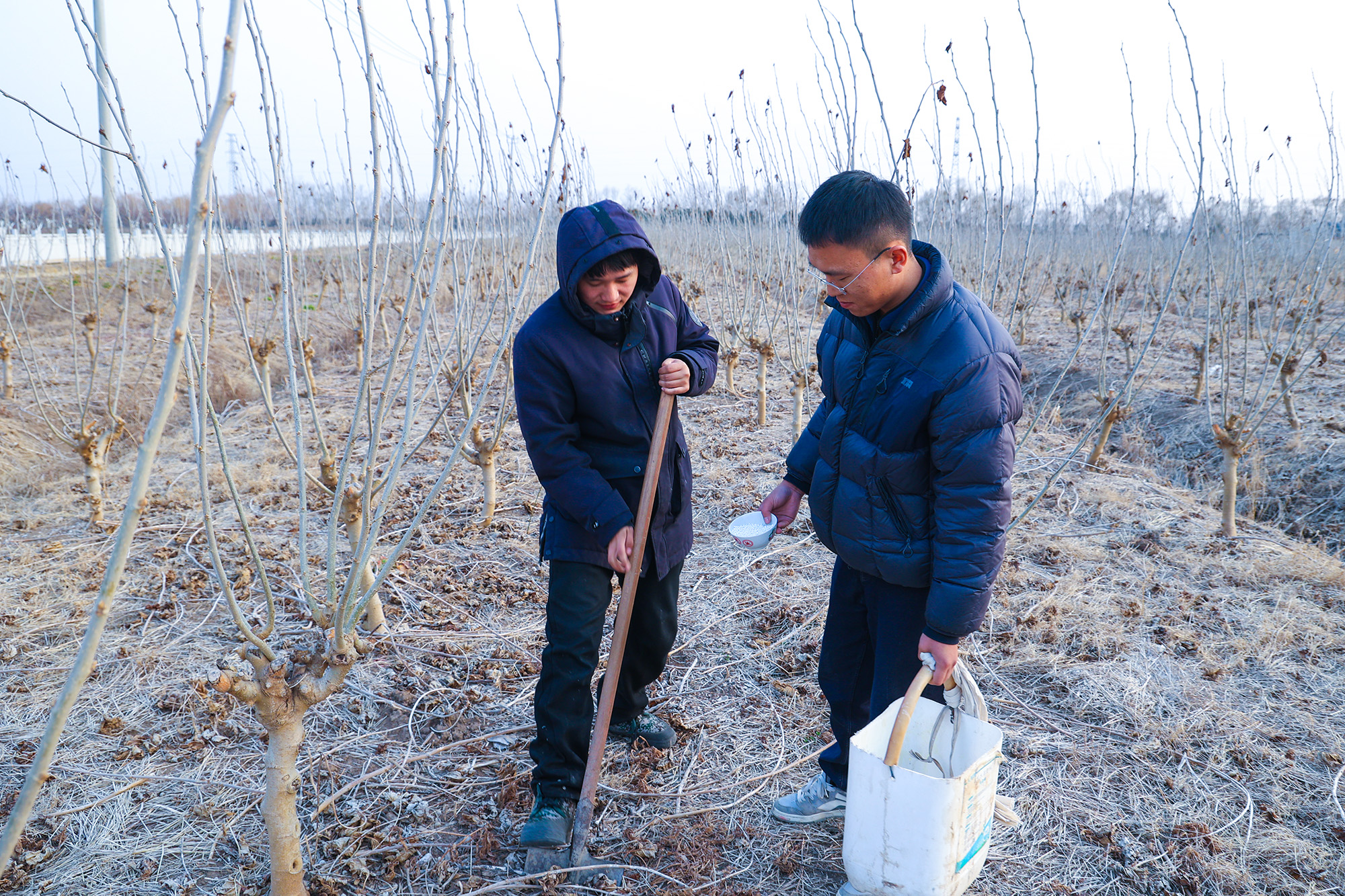 20250225 云水灣濕地公園：桑園春耕忙 靜待“葚”果香（1）.JPG