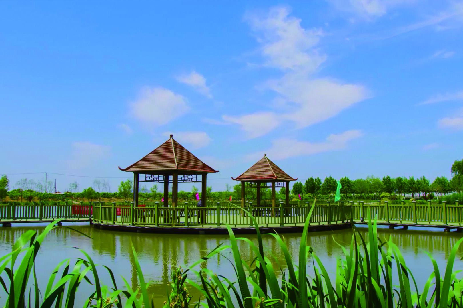 執“綠”為筆，繪就云臺美麗新畫卷 (2).jpg