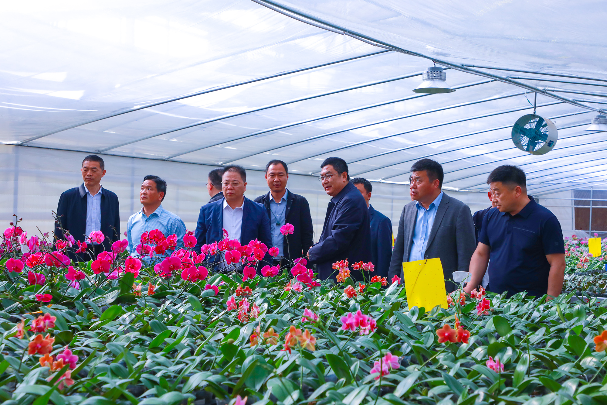 20250410 河南省農機農墾發展中心及黃泛區實業集團來云臺考察交流 (2).JPG