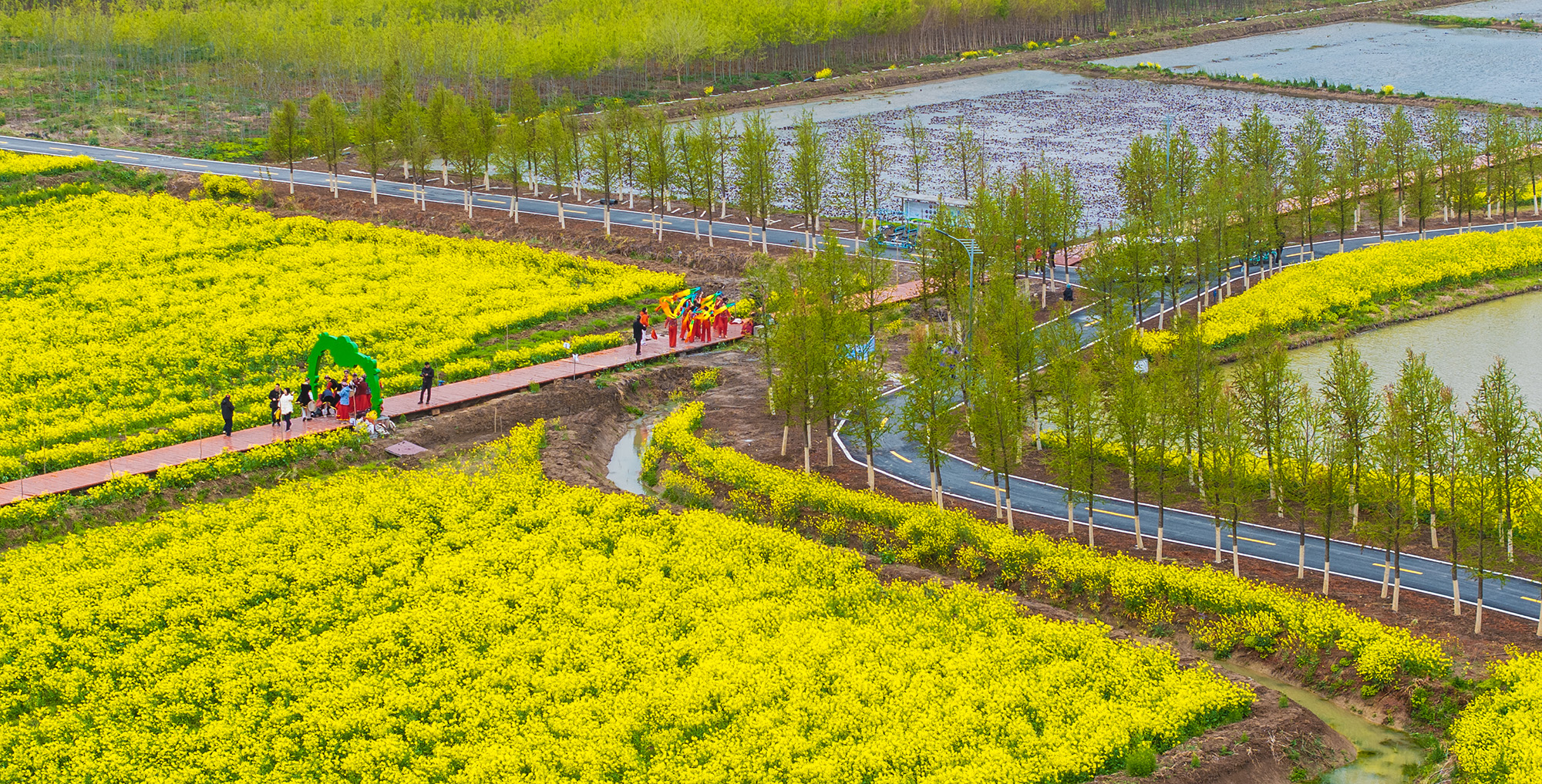 20250412 2025云臺農場油菜花季系列活動盛大開幕 (7).jpg