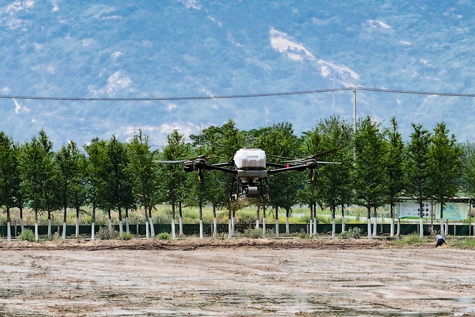 20250530 無人機直播水稻 云水灣“一田雙收”（3）.JPG